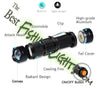 Bait Charging LED UV 365nm Flashlight Pocket Fishing Light